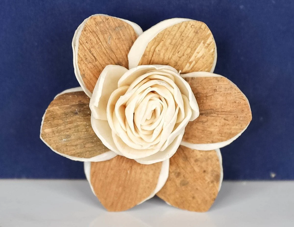 2" Bluebell (10 Pack) - Image 2