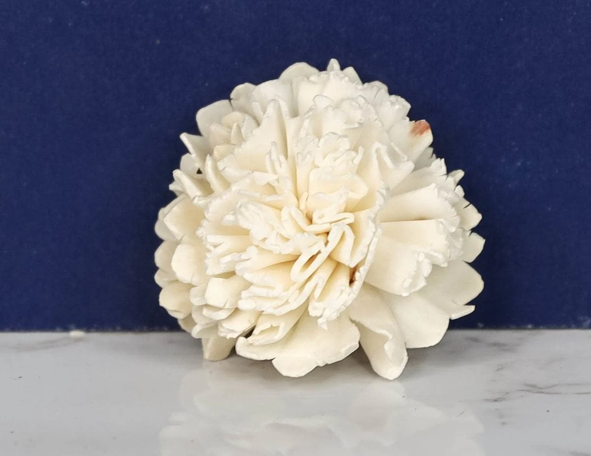 2" Carnation (10 pack) - Image 2