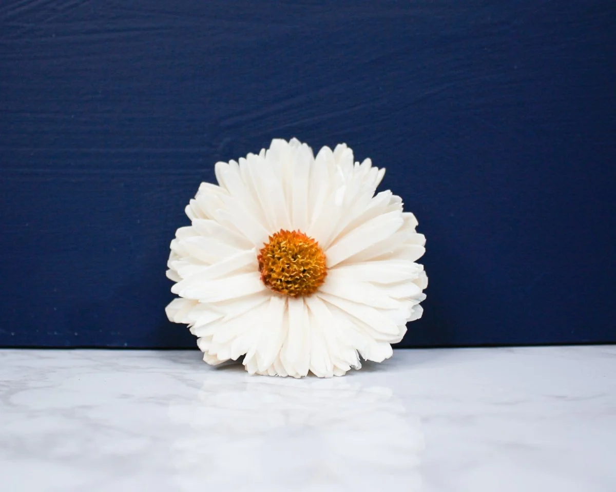 2" Classic Daisy (10 Pack) - Image 2