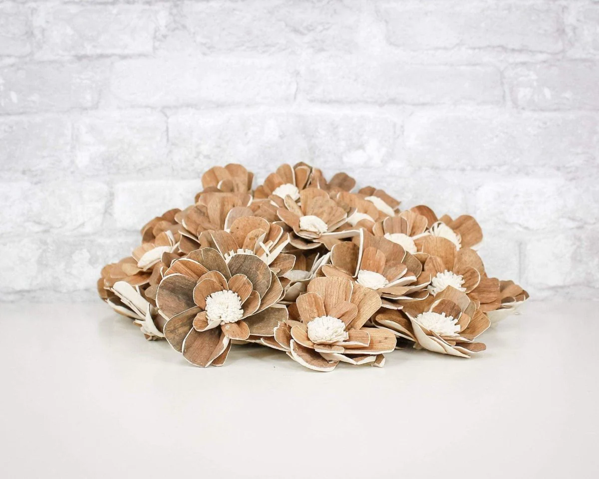 2" Coco - 50 Pack