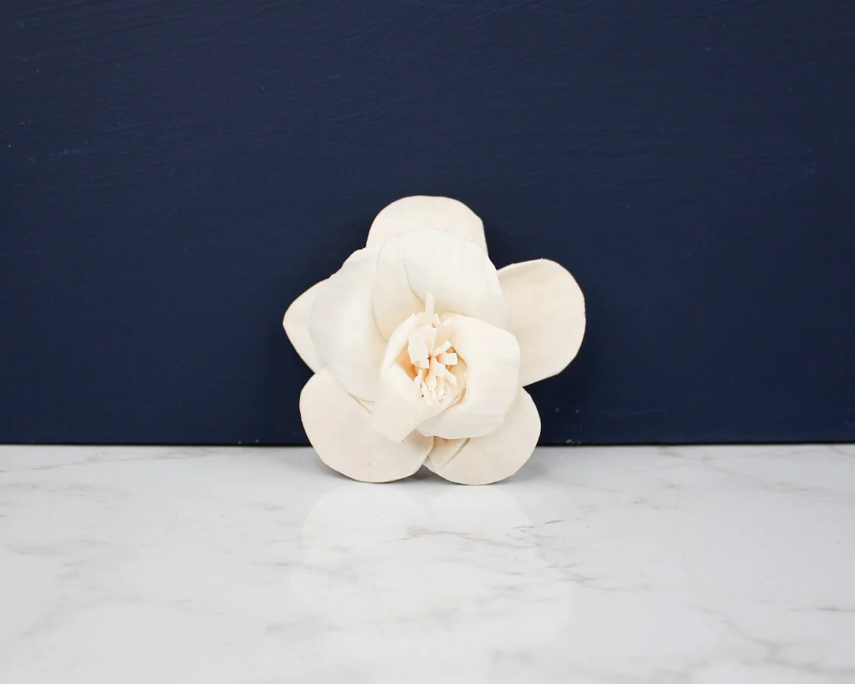 2" Daffodil (200 Pack) - Image 2