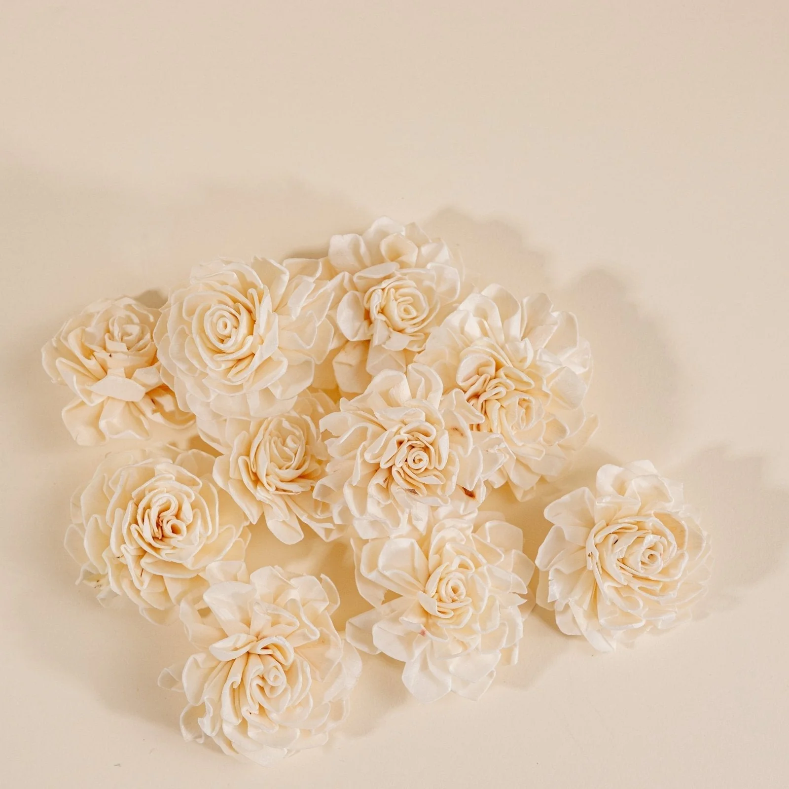 2" Dahlia (10 pack)