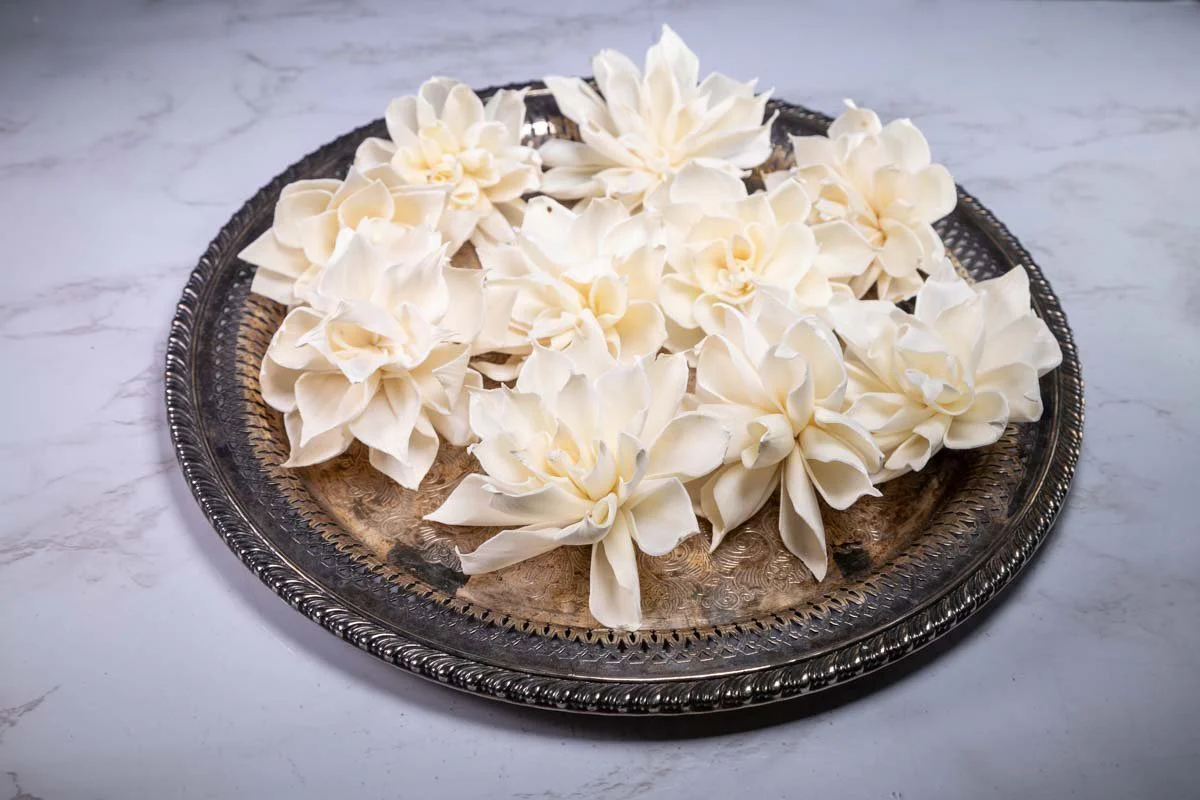 2" Labyrinth Dahlia (10 Pack) - Image 3