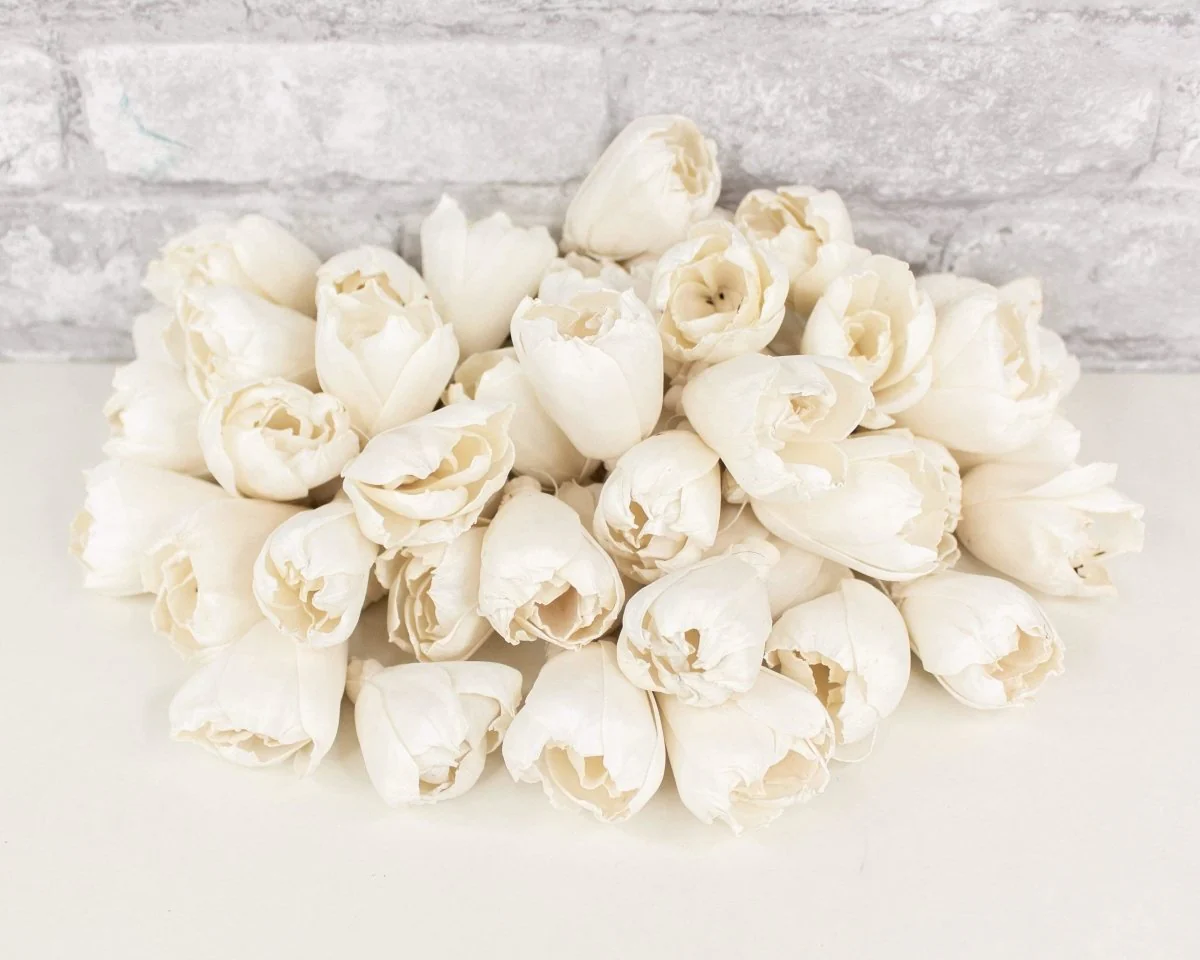 2" Precious Tulip - 50 Pack