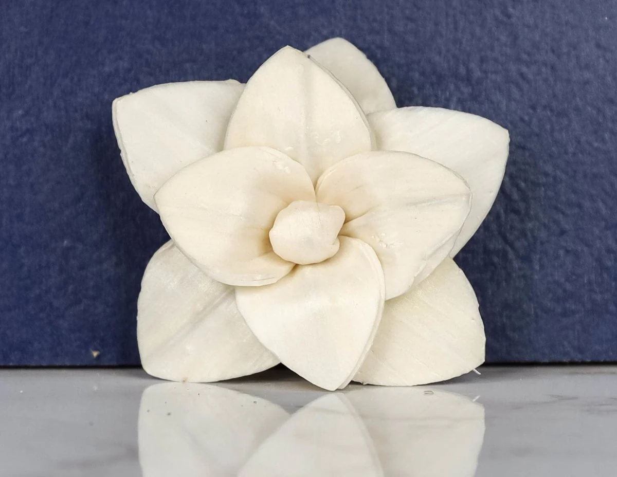 3" Brittney (10 pack) - Image 2