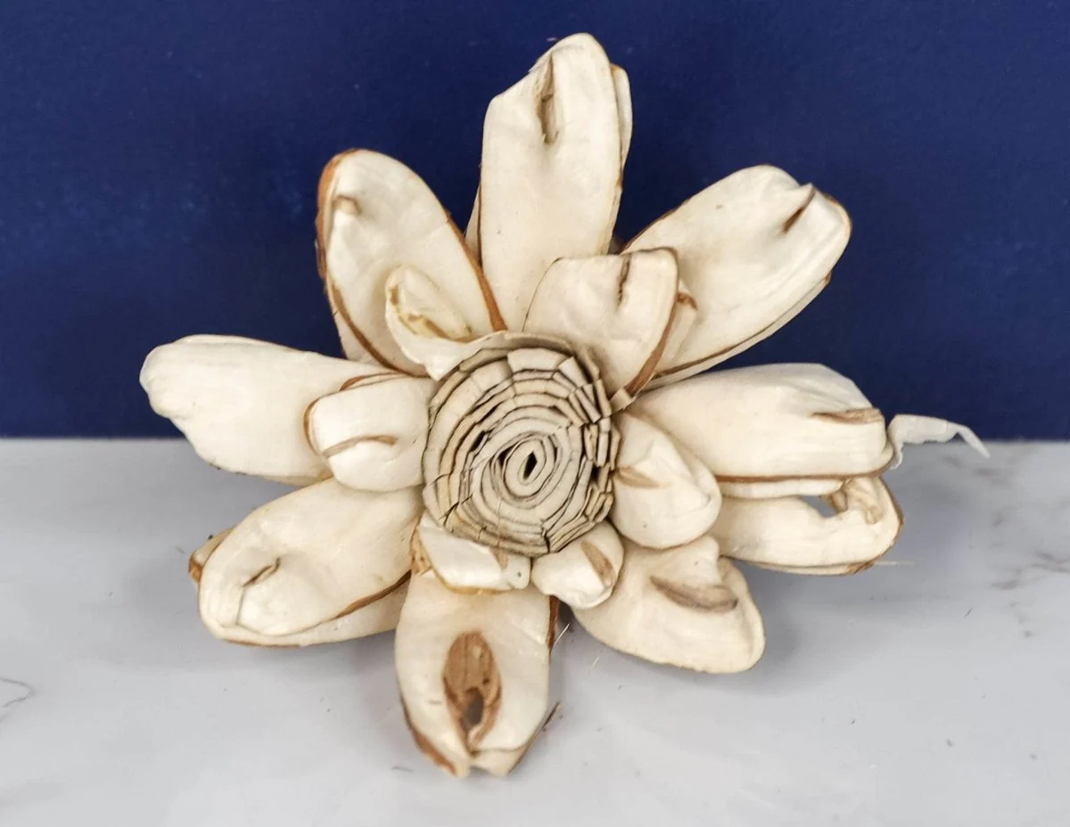 3" Distressed Daisy (10 Pack) - Image 2