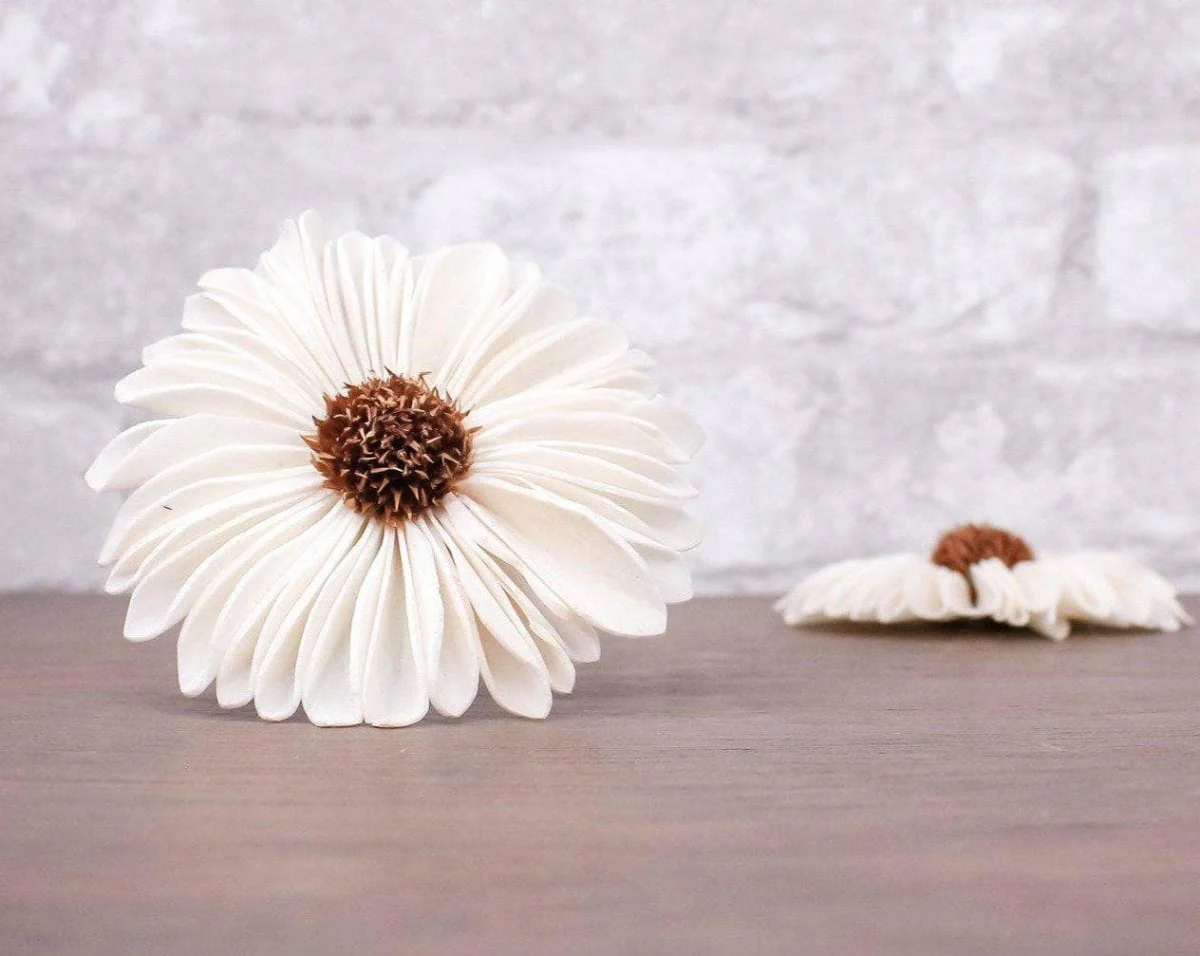 3" Gerbera Daisy (10 Pack)