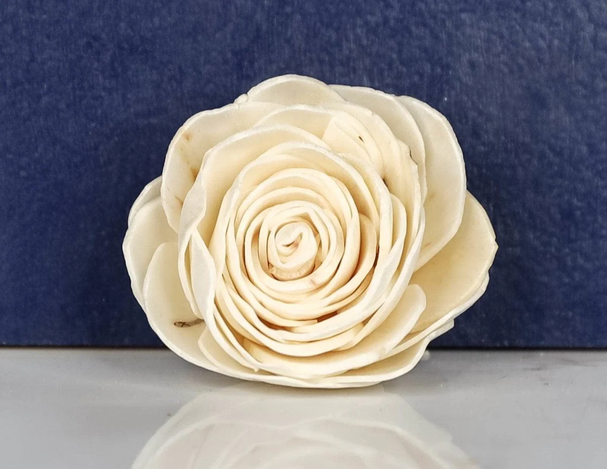3" Jackie (10 Pack) - Image 2