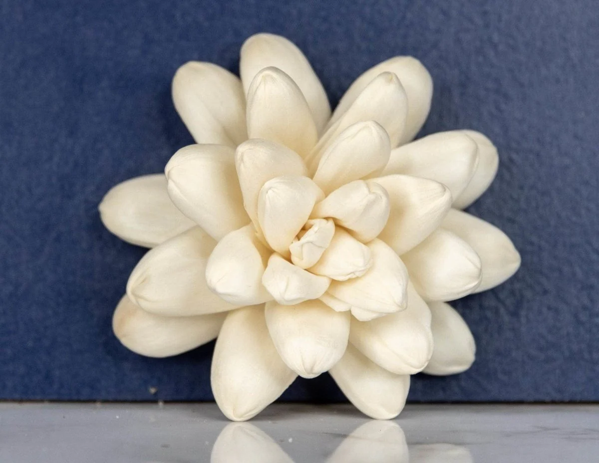 3" Rosette (10 Pack) - Image 2