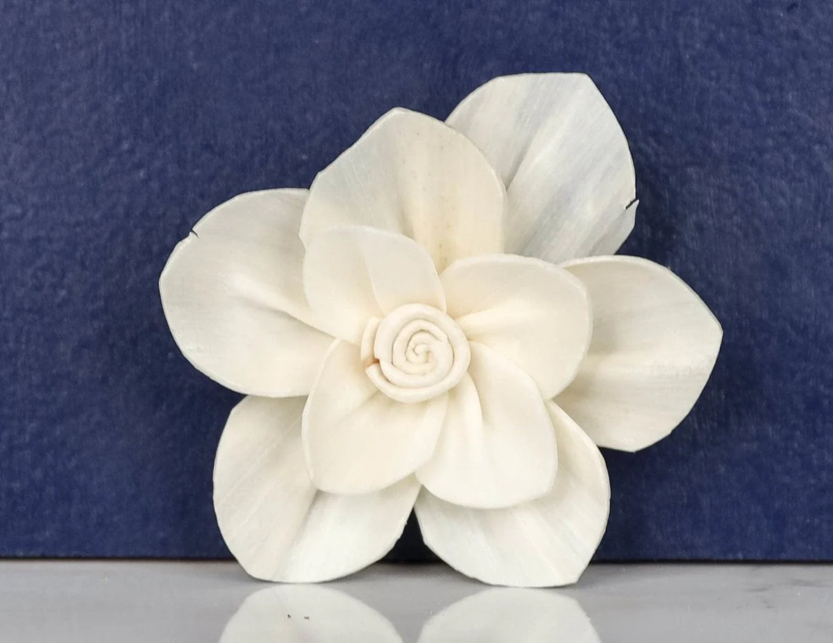 3" Rosina (10 Pack) - Image 2