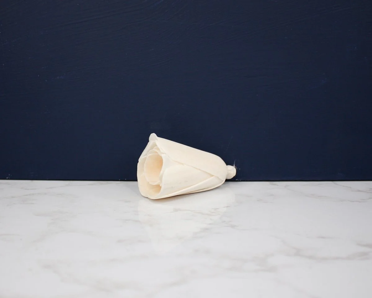 3" Tulip (10 Pack) - Image 3