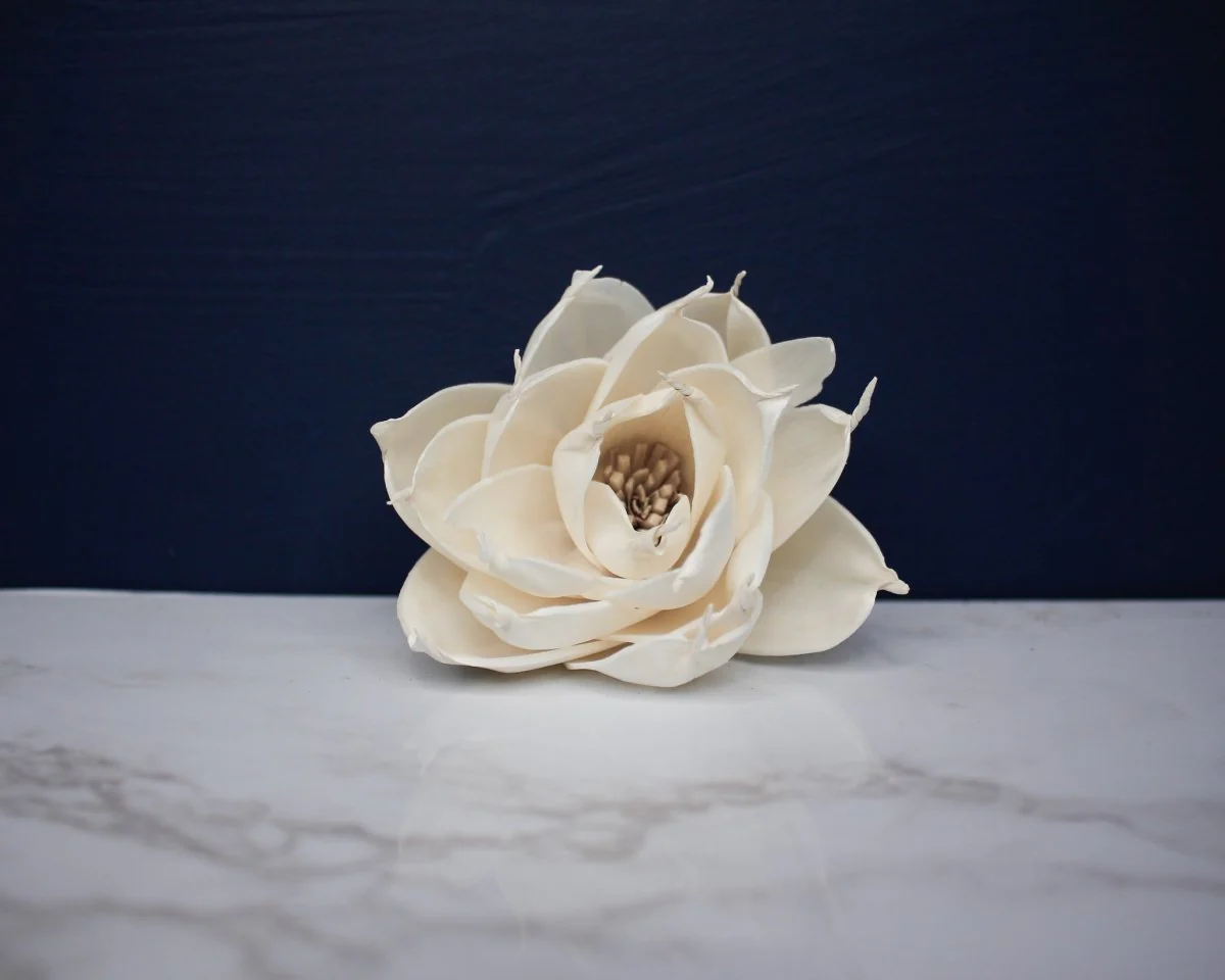 3" Twila (10 Pack) - Image 2