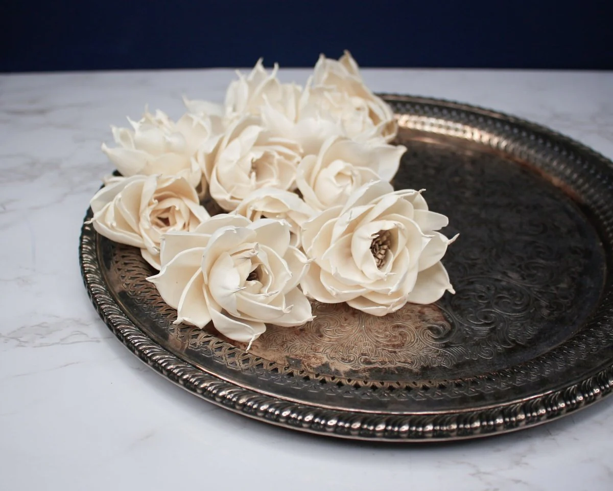 3" Twila (10 Pack) - Image 3