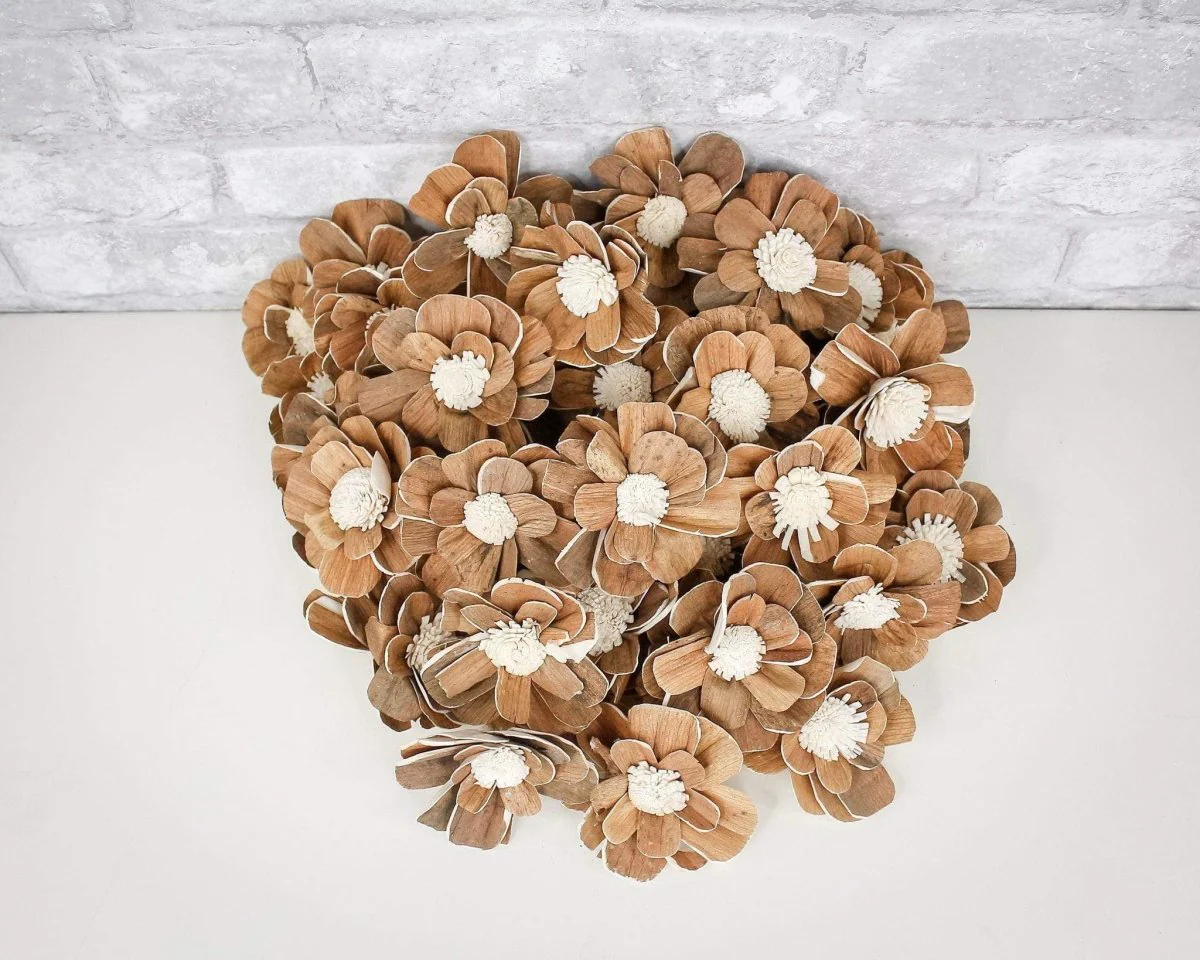 3" Coco - 50 Pack - Image 9