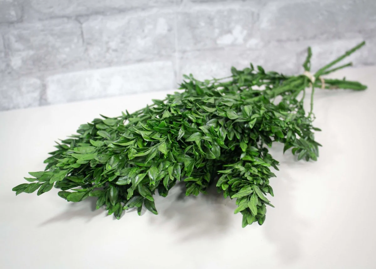 Greenery Sample Kit - Image 14