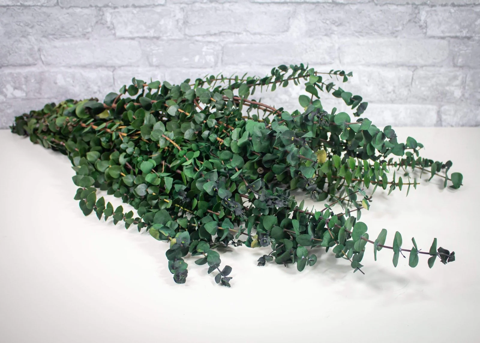Greenery Sample Kit Option Set