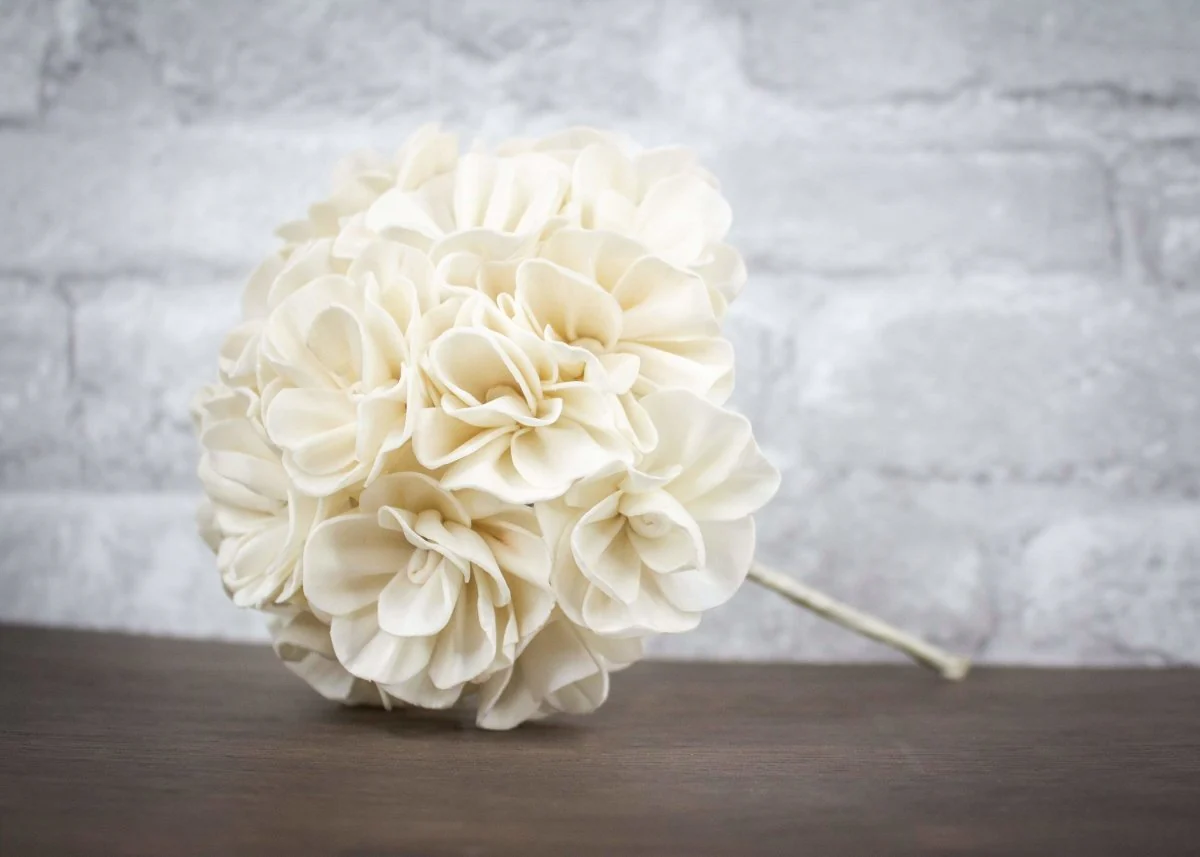 Sola Wood Hydrangea