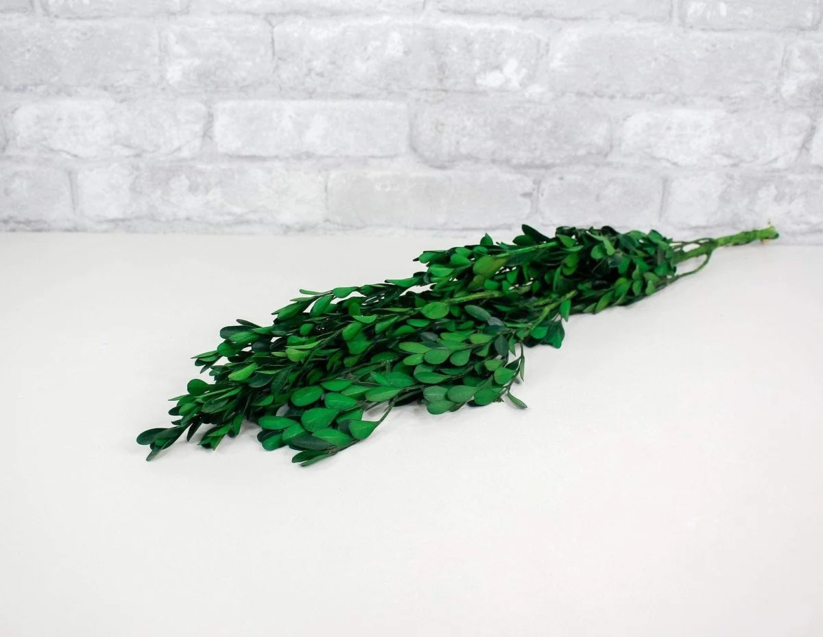 American Boxwood Greenery