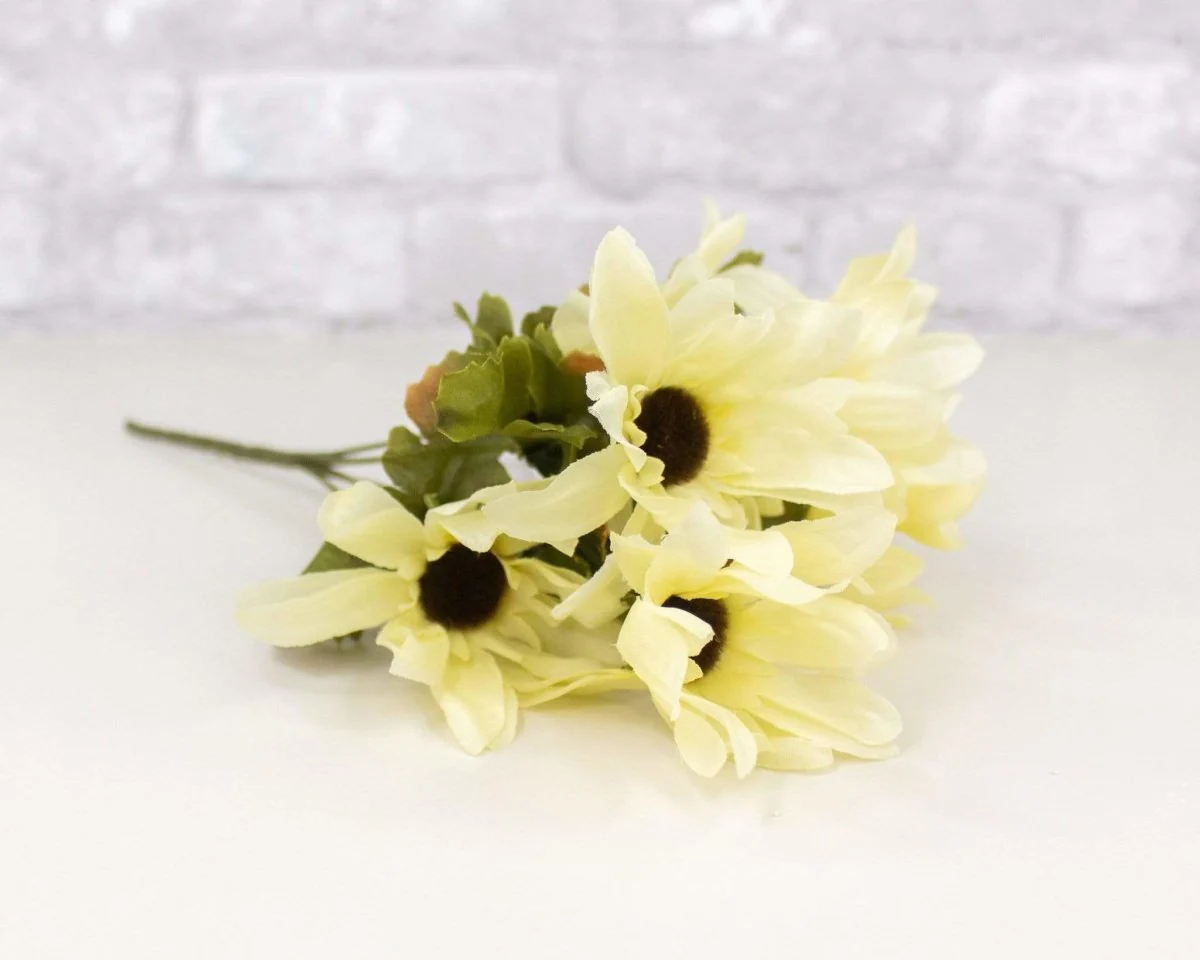 Sunflower Bush - Cream