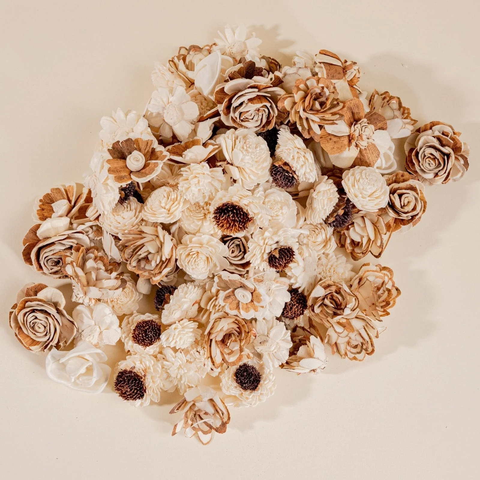 Wholesale Starter Bundle - Image 8